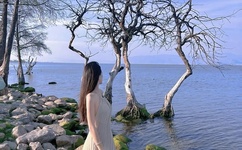 2012张根硕上海演唱会